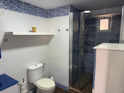 un bagno con wc e doccia di Apto con piscina y barbacoa a La Alcayna