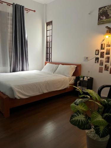 a bedroom with a bed with a window and a plant at Mật Ong HOUSE in Hue