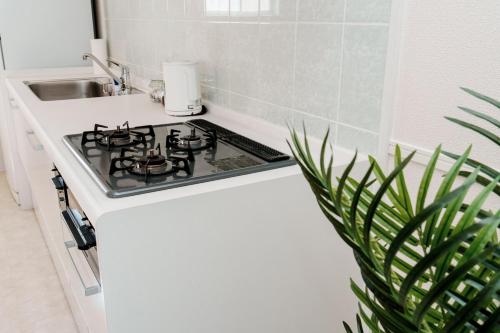 Køkken eller tekøkken på Sunstone Residence 2F - Free Rental Car included!