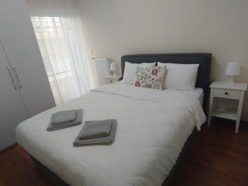Central Apartment near Panathenaic Stadium & University