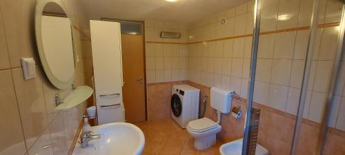 布莱德勒那迪克公寓的浴室里有洗手池、马桶和镜子。