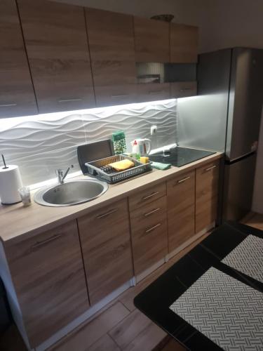 Cuina o zona de cuina de Apartman Katedrala