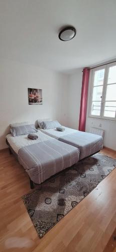 twee bedden in een kamer met een tapijt bij Apartment Antan - Center in Chartres
