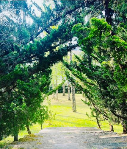 a painting of a park with trees and a path at Villa Casato Residenza Boutique in Campos do Jordão