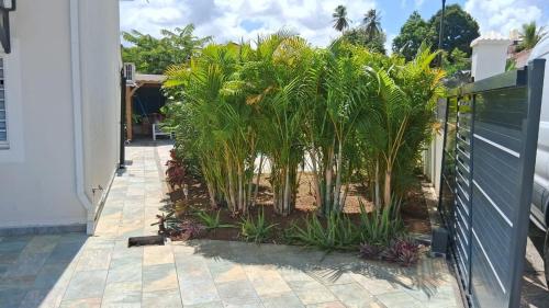 En have udenfor Palm'Ô Zen