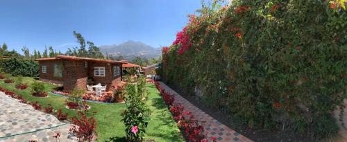 a house with a garden with flowers on a hill at Casa Colibries Cotacachi EC in Cotacachi