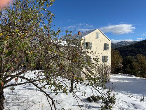 a house in the snow with a tree in the foreground at La demeure des vignes in Murato