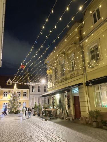 Eine Gruppe von Leuten, die mit Weihnachtslichtern auf einer Straße spazieren in der Unterkunft Old City Poema in Braşov