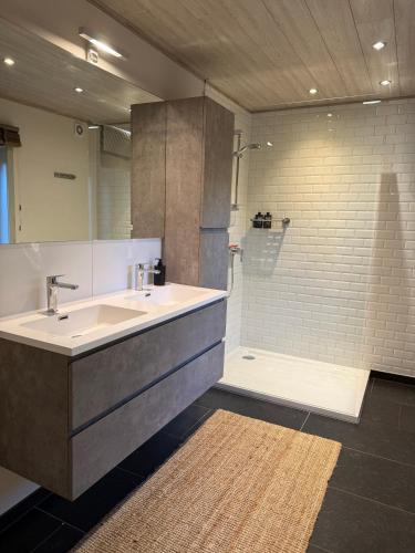 a bathroom with a sink and a shower at ‘t Vaerthuys in Dilsen-Stokkem