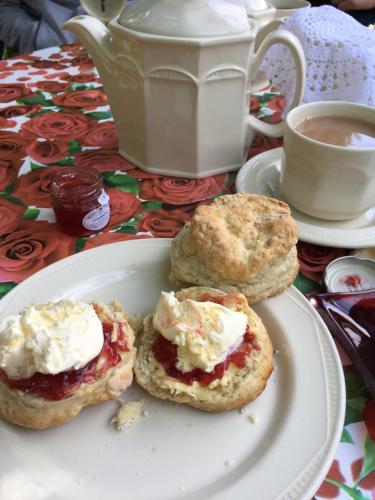 Φωτογραφία από το άλμπουμ του Zen Den σε Isle of Wight