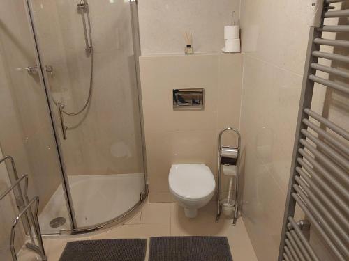 a small bathroom with a shower and a toilet at Apartmán Lomnica - Tatragolf C 401 in Veľká Lomnica