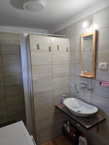 a bathroom with a sink and a shower with a mirror at Kod bake in Oštarije