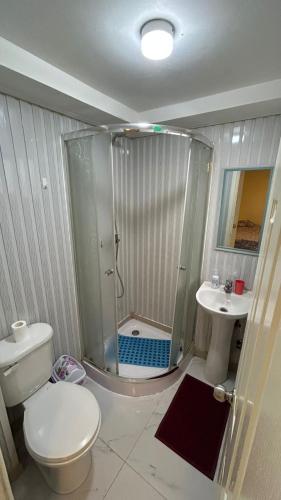 a bathroom with a shower and a toilet and a sink at Hostal Del Tuto in Punta Arenas