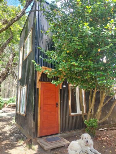 Φωτογραφία από το άλμπουμ του Hostal Pirineos σε Valdivia