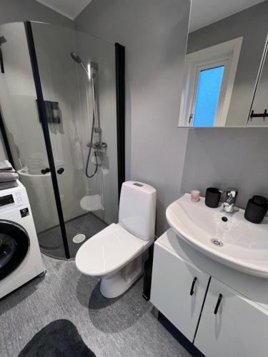 The Fäxaåsen cabin في فاربرغ: حمام مع مرحاض ومغسلة ودش