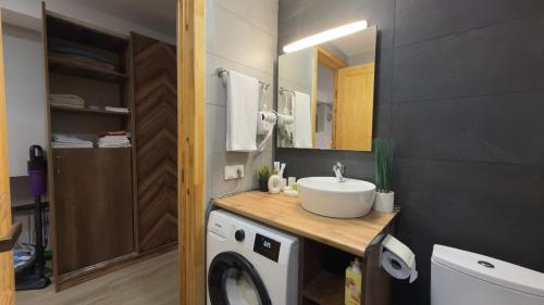 Un baño con lavabo y lavadora. en Didveli Gallery Bakuriani B202 დიდველი გალერეა ბაკურიანი B202, en Bakuriani