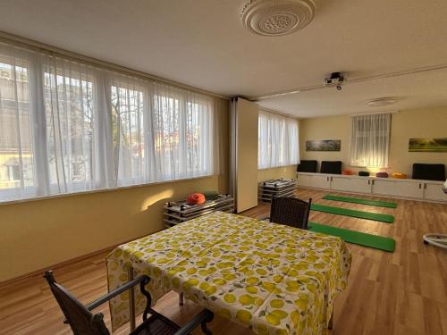 Skyvilla Wien - Terrassenwohnung