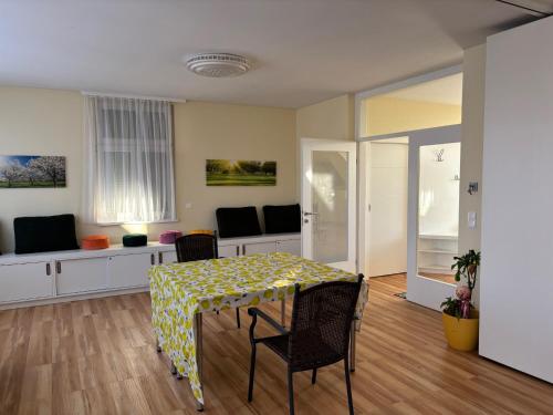 Skyvilla Wien - Terrassenwohnung