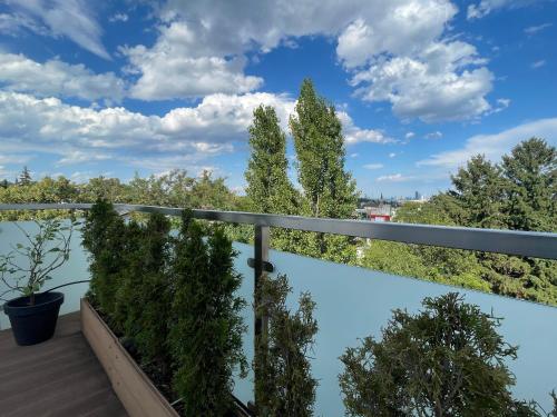Skyvilla Wien - Terrassenwohnung