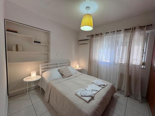 Parmen APT