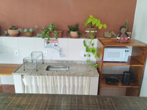a kitchen with a sink and a counter with potted plants at pousada CASA 29 BÚZIOS in Búzios