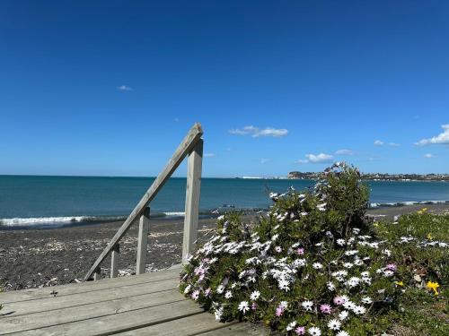 Fotografie z fotogalerie ubytování Beach Front Nest v destinaci Napier