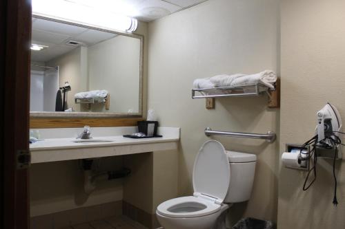 a bathroom with a toilet and a sink and a mirror at Quality Inn & Suites Moline - Quad Cities in Moline