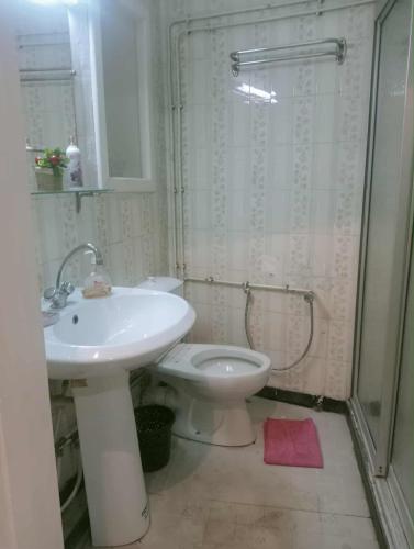 ein Badezimmer mit Waschbecken, Toilette und Dusche in der Unterkunft relax & Prestige in the heart of tunis in Tunis