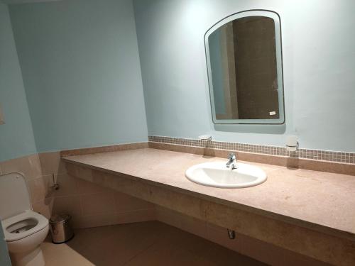 Un baño con lavabo, espejo e inodoro. en Private quite resort with lake view among nature, en Tunis