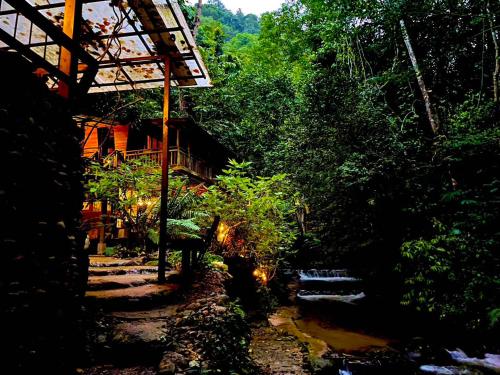 a house in a forest with a stream in front at เฌอPrime Cher Prime by Tree house Maelai in Ban Pok Nai