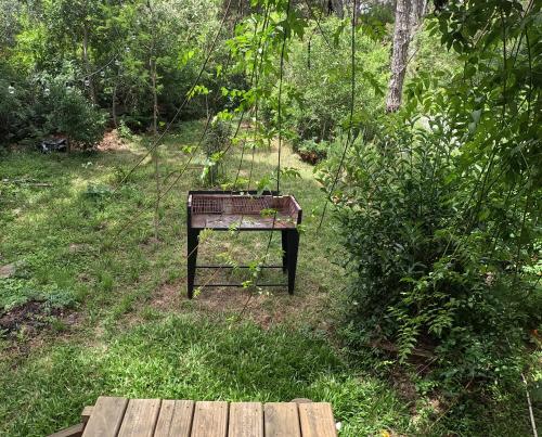 Vườn quanh cabaña del monte