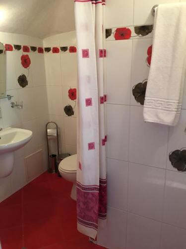 a bathroom with a toilet and a shower curtain at Guesthouse Elizabeth in Samokov