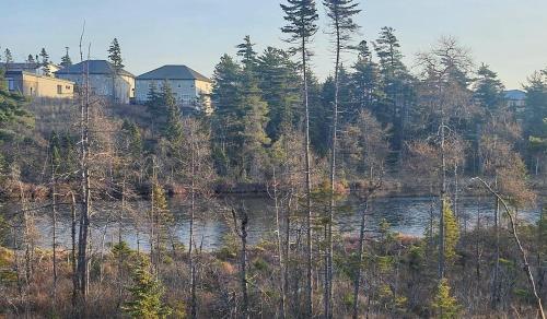 a view of a river with houses on a hill at Lakeview Breaktrail Stays in Crosby Island