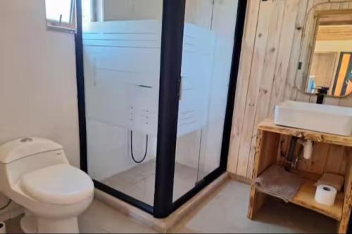 een badkamer met toilet en glazen douche bij Sirena Lodge in De Cauquenes