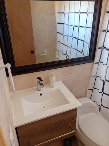 Cabañas Campo y Mar في Los Corrales: حمام مع حوض ومرحاض ومرآة