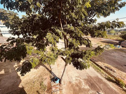 Paisagem natural perto da casa de hóspedes