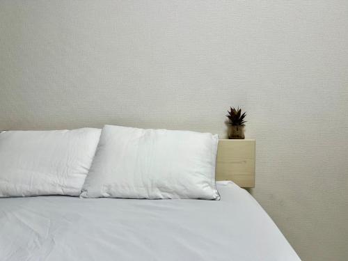 Apartment Hotel in Katsushika City