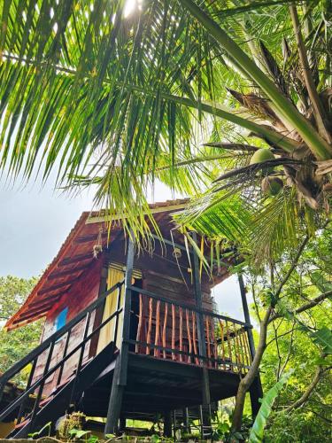 Bird House Mirissa