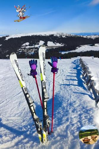 Olmhaus mit Sauna und E-Bikes