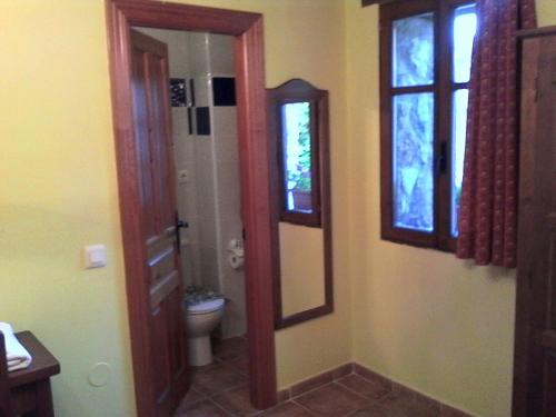 a bathroom with a toilet and a mirror at La Casa Vieja en Valdeón in Soto de Valdeón