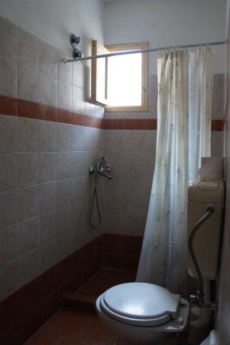a bathroom with a toilet and a shower with a window at Filippos in Agios Kirykos