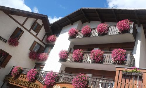 Gallery image of Hotel Margherita in San Martino di Castrozza