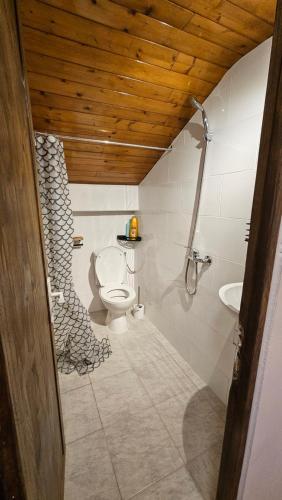 Ένα μπάνιο στο Mini cozy au MontBlanc