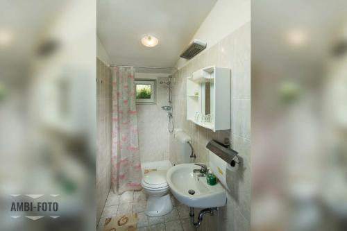 La petite salle de bains est pourvue d'un lavabo et de toilettes. dans l'établissement Farm Stay Ferjančič, à Vipava