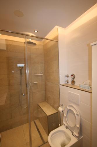a bathroom with a toilet and a glass shower at Appartements Domizil in Kaprun