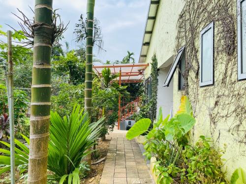 Fotografie z fotogalerie ubytování Cozy Haven Nest - Không gian mở, đầy ánh sáng v destinaci Yên Bái