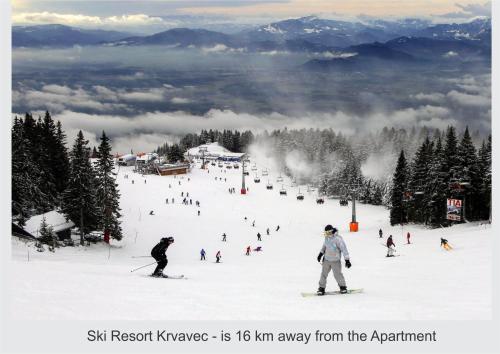 COMFY and BRIGHT Apartment зимой