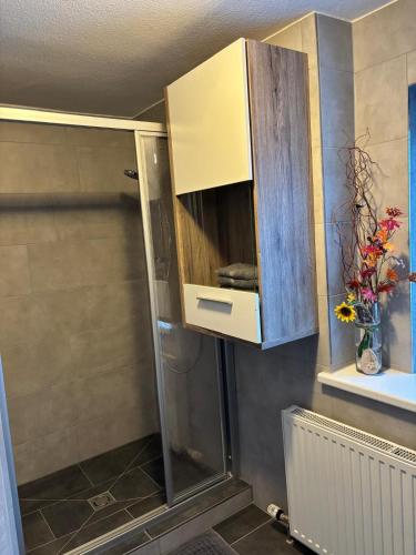 a cabinet in a bathroom with a shower at Elgi Apart in Serfaus