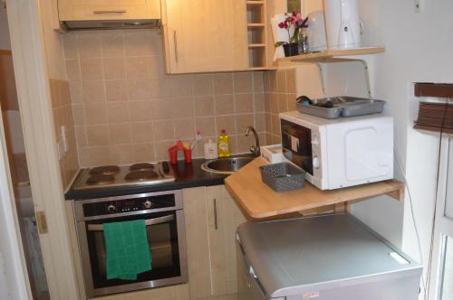 uma pequena cozinha com um micro-ondas e um lavatório em Super Central Dublin Apartments em Dublin