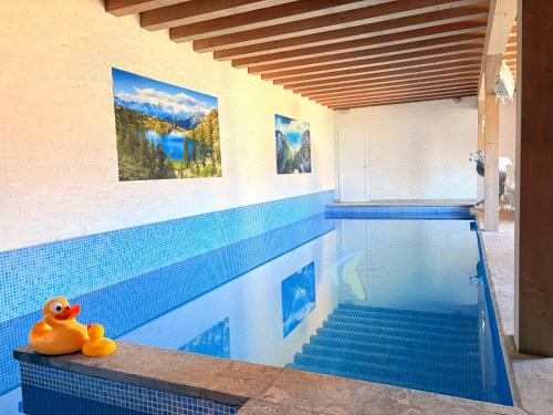 Bazén v ubytování De Blockhut nebo v jeho okolí